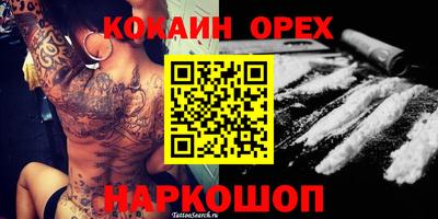 прущие грибы Будённовск