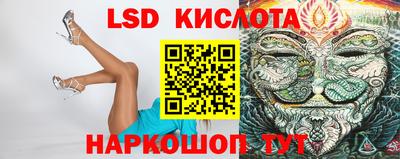прущие грибы Будённовск