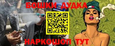 прущие грибы Будённовск