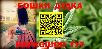 прущие грибы Будённовск