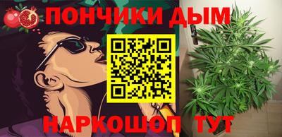 прущие грибы Будённовск